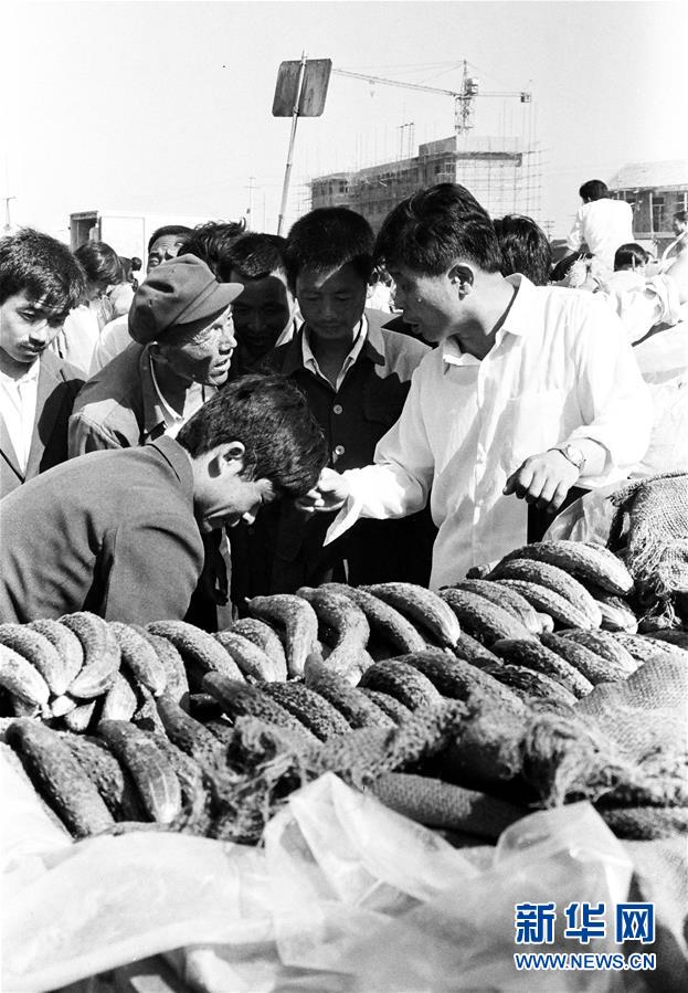 (改革先鋒風(fēng)采·圖文互動(dòng))(3)王伯祥:山東壽光蔬菜產(chǎn)業(yè)的推動(dòng)者