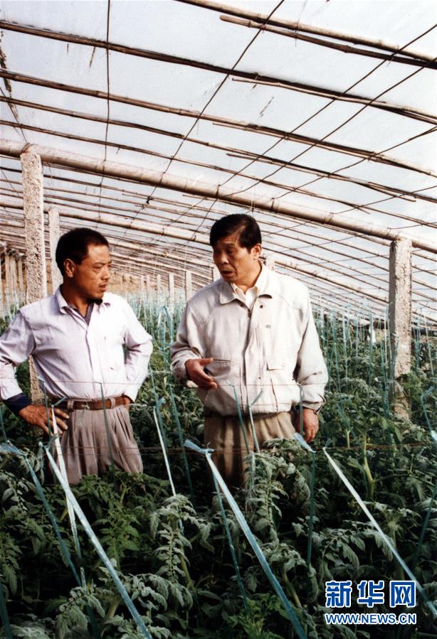 (改革先鋒風(fēng)采·圖文互動(dòng))(1)王伯祥:山東壽光蔬菜產(chǎn)業(yè)的推動(dòng)者