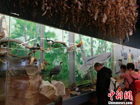 圖為展覽現(xiàn)場(chǎng)。　胡遠(yuǎn)航 攝