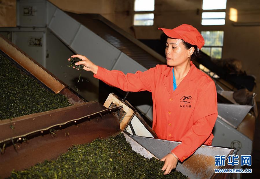 (奮進(jìn)新時(shí)代·迎接兩會)(2)開放發(fā)展——推動形成全面開放新格局