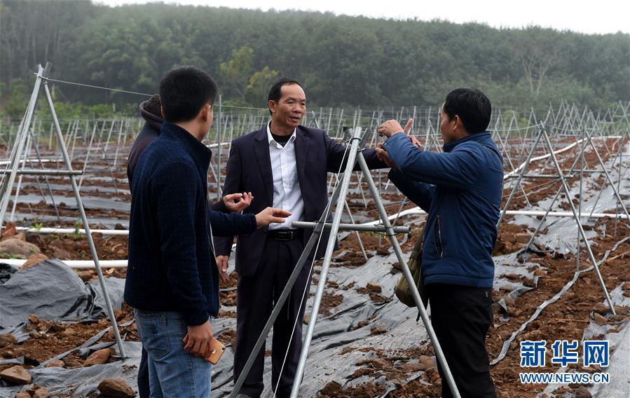 （兩會(huì)&middot;基層委員履職故事）（7）全國政協(xié)委員羊風(fēng)極：讓家鄉(xiāng)在鄉(xiāng)村振興中發(fā)展得更好