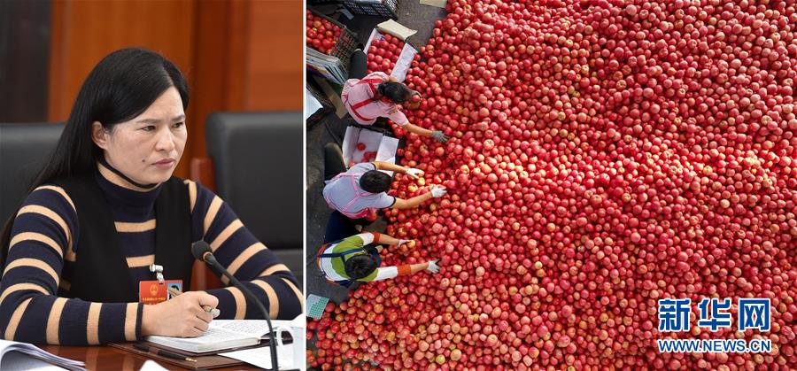 （兩會&middot;影像鏈接）全國人大代表曾云英：新型農(nóng)業(yè)將迎來高質(zhì)量發(fā)展的機(jī)遇