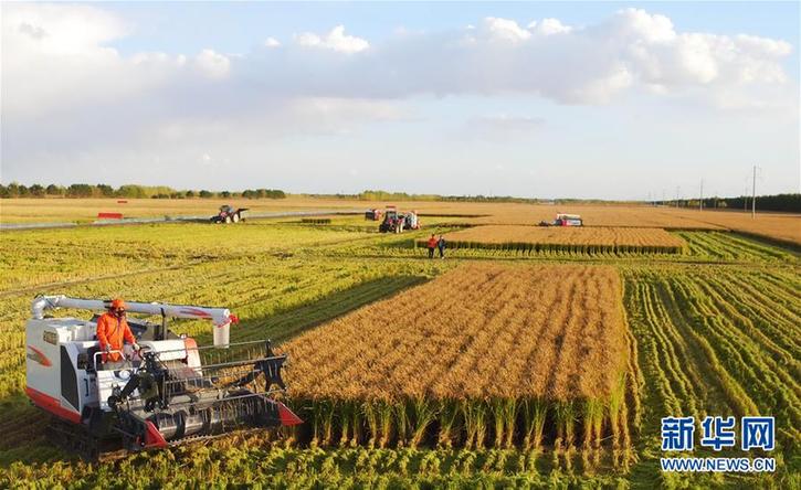 （在習(xí)近平新時(shí)代中國特色社會主義思想指引下&mdash;&mdash;新時(shí)代新作為新篇章&middot;鄉(xiāng)村振興戰(zhàn)略&middot;圖文互動）（2）&ldquo;十五連豐&rdquo;譜新篇&mdash;&mdash;端牢&ldquo;中國飯碗&rdquo;的龍江實(shí)踐