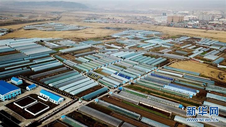 （在習(xí)近平新時(shí)代中國特色社會主義思想指引下&mdash;&mdash;新時(shí)代新作為新篇章&middot;鄉(xiāng)村振興戰(zhàn)略&middot;圖文互動）（5）&ldquo;十五連豐&rdquo;譜新篇&mdash;&mdash;端牢&ldquo;中國飯碗&rdquo;的龍江實(shí)踐