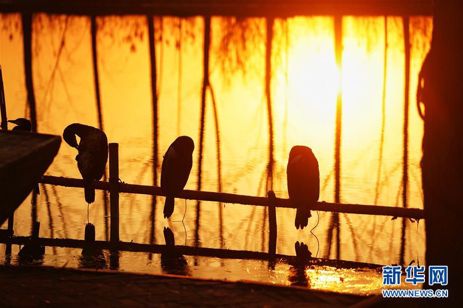 (新華全媒頭條·圖文互動)(8)“雄安大計”躍然紙上 “未來之城”呼之欲出——《河北雄安新區(qū)總體規(guī)劃》解讀