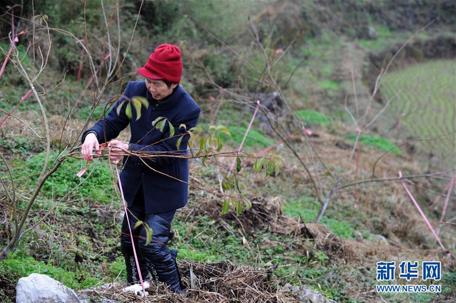 (圖文互動)(3)平靜而充滿力量——“中國網(wǎng)事·感動2018”年度網(wǎng)絡人物群像