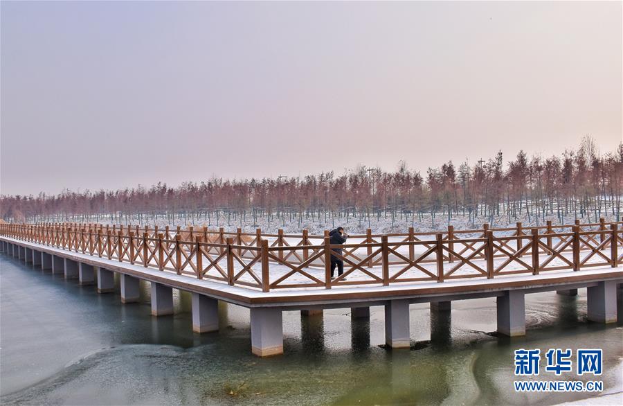 （在習(xí)近平新時(shí)代中國特色社會主義思想指引下&mdash;&mdash;新時(shí)代新作為新篇章&middot;圖文互動(dòng)）（4）水綠相間看古都 古今輝映洛陽城