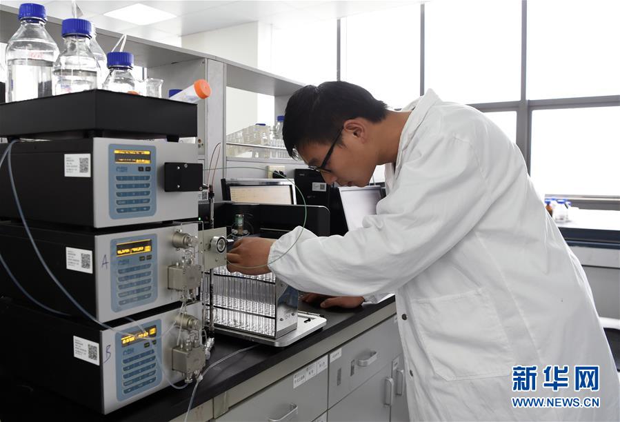 (在習(xí)近平新時(shí)代中國(guó)特色社會(huì)主義思想指引下·將改革開(kāi)放進(jìn)行到底·強(qiáng)國(guó)之基)(新華全媒頭條·圖文互動(dòng))(8)奮斗不停步 改革再出發(fā)——“四個(gè)自信”筑牢強(qiáng)國(guó)之基