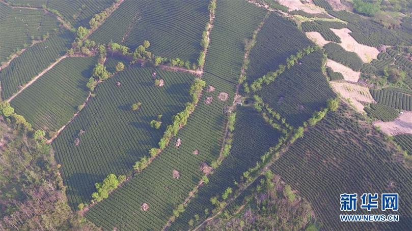 (兩會(huì)前夕看落實(shí)·圖文互動(dòng))(9)綠色發(fā)展引領(lǐng) 守護(hù)“魚(yú)米之鄉(xiāng)”——江蘇落實(shí)習(xí)近平總書(shū)記全國(guó)兩會(huì)重要講話精神紀(jì)實(shí)