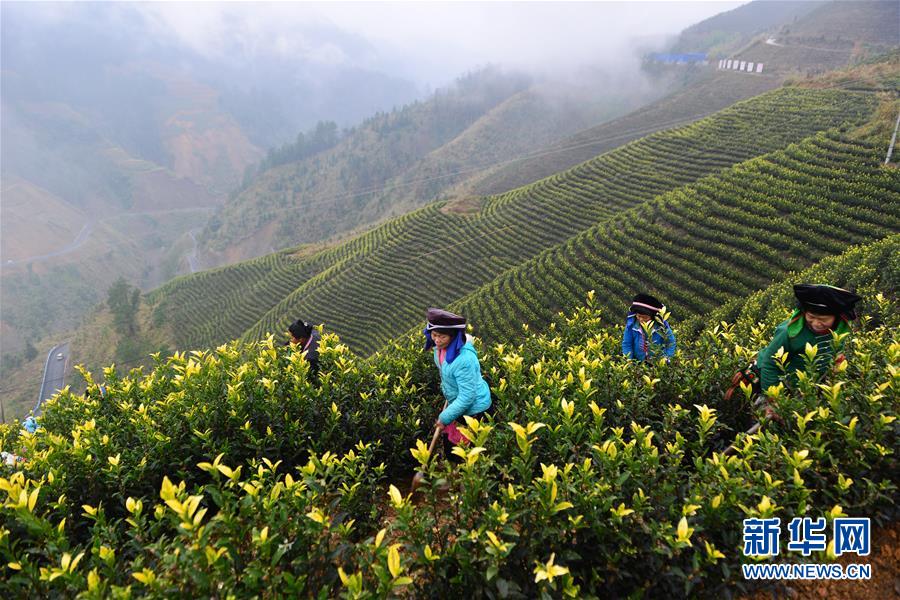 （兩會(huì)前夕看落實(shí)&middot;圖文互動(dòng)）（8）決戰(zhàn)脫貧攻堅(jiān) 奮力后發(fā)趕超&mdash;&mdash;貴州落實(shí)習(xí)近平總書記全國兩會(huì)重要講話精神紀(jì)實(shí)