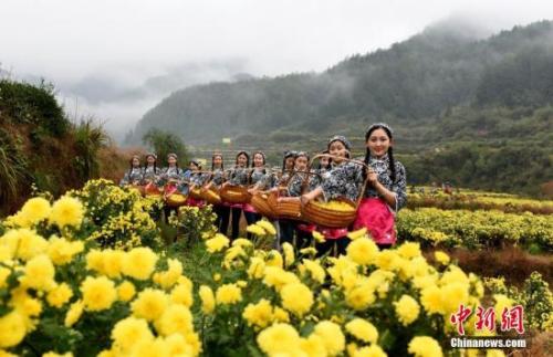 &ldquo;最中國(guó)美鄉(xiāng)村&rdquo;江西省婺源縣。胡敦煌 攝