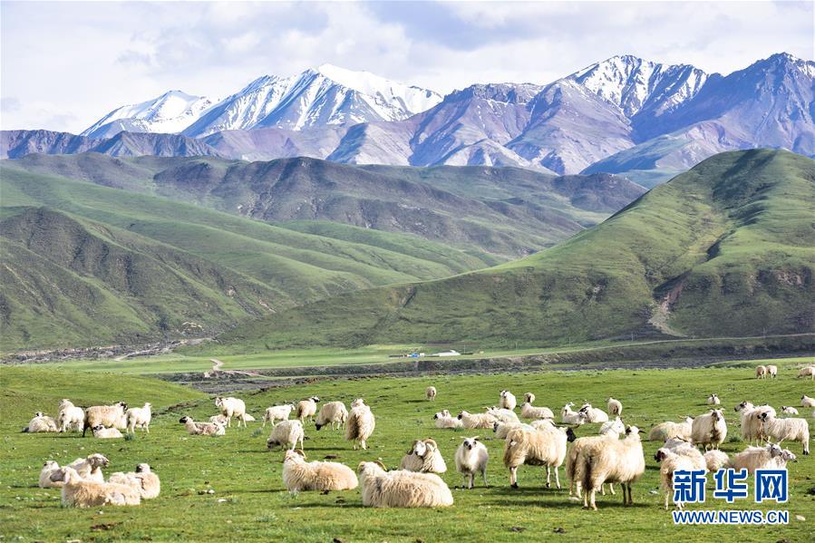 （兩會(huì)前夕看落實(shí)&middot;圖文互動(dòng)）（1）以&ldquo;一優(yōu)兩高&rdquo;戰(zhàn)略描繪三江源壯美畫(huà)卷&mdash;&mdash;青海落實(shí)習(xí)近平總書(shū)記全國(guó)兩會(huì)重要講話精神紀(jì)實(shí)