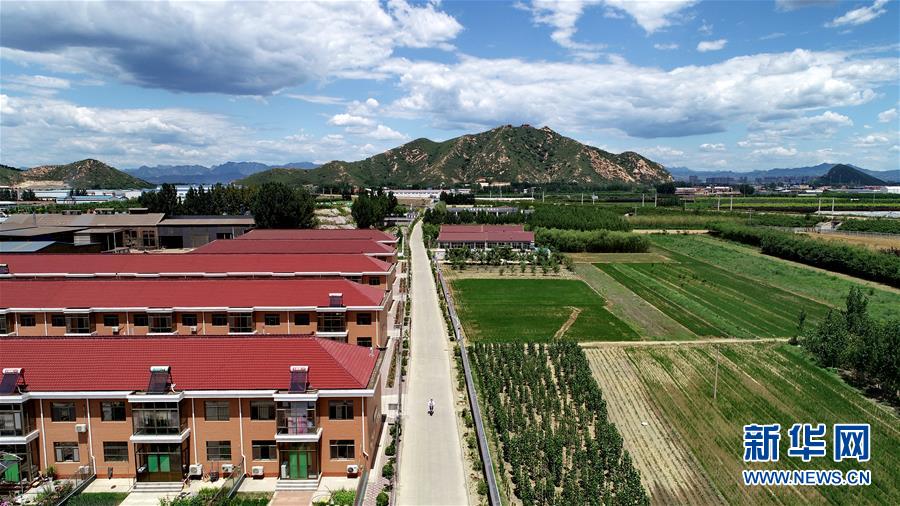 （新華全媒頭條&middot;圖文互動）（5）承諾有&ldquo;干貨&rdquo; 落實(shí)有&ldquo;硬招&rdquo;&mdash;&mdash;&ldquo;全國兩會部長通道&rdquo;上承諾踐行情況掃描