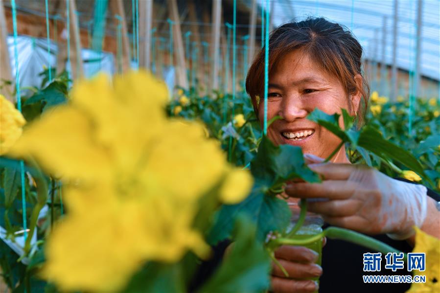 (兩會前夕看落實(shí)·圖文互動)(4)融合“三生三美” 打造鄉(xiāng)村振興齊魯樣板——山東落實(shí)習(xí)近平總書記全國兩會重要講話精神紀(jì)實(shí)
