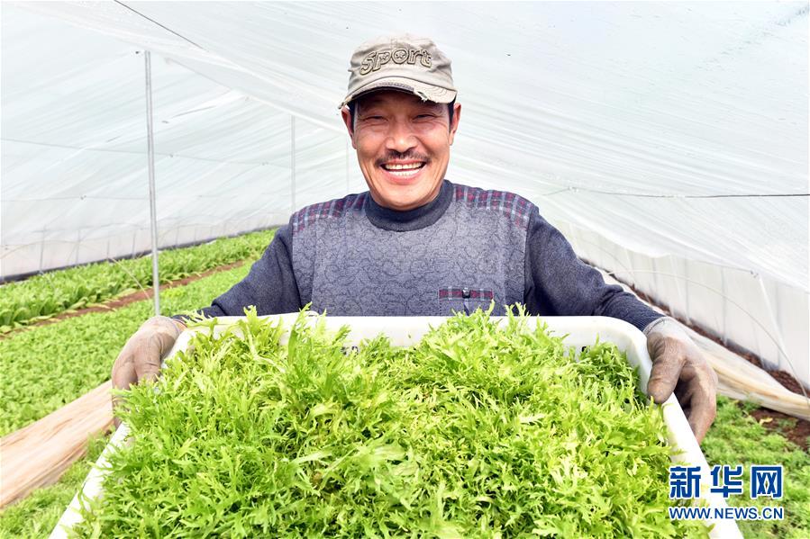 (兩會前夕看落實(shí)·圖文互動)(3)融合“三生三美” 打造鄉(xiāng)村振興齊魯樣板——山東落實(shí)習(xí)近平總書記全國兩會重要講話精神紀(jì)實(shí)