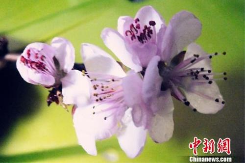 點擊進(jìn)入下一頁