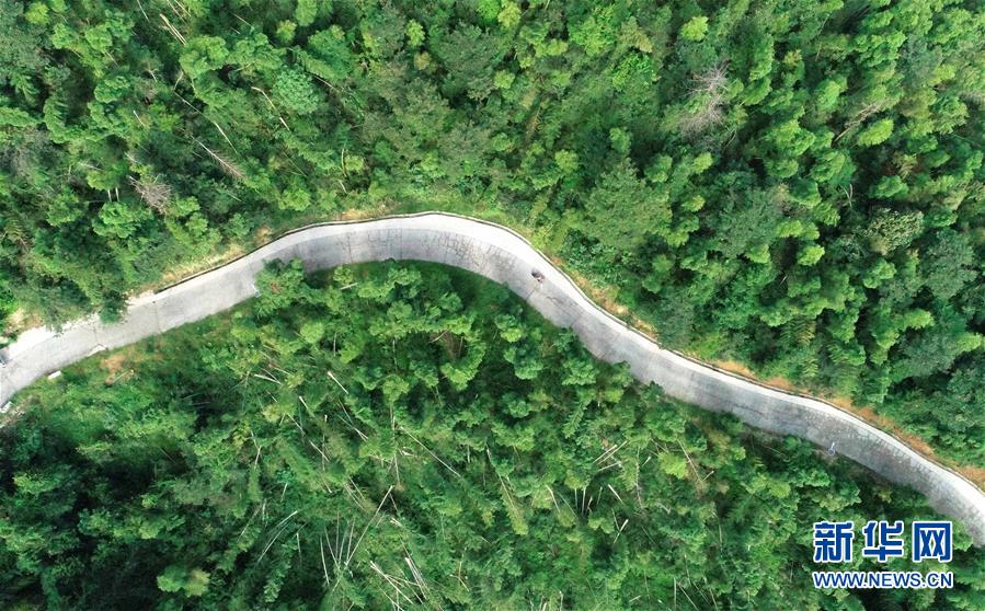 （中國(guó)網(wǎng)事&middot;感動(dòng)2019&middot;圖文互動(dòng)）（7）鄉(xiāng)村教師高自仁：60多根拐杖，撐起42年教學(xué)路