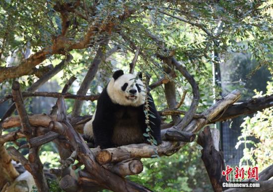 點(diǎn)擊進(jìn)入下一頁