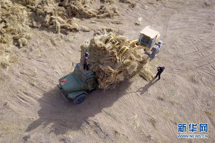 （新華全媒頭條&middot;圖文互動(dòng)）（7）八步沙&middot;六老漢&middot;三代人