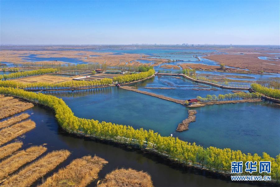 （新華全媒頭條&middot;圖文互動(dòng)）（5）奮進(jìn)，向著未來(lái)之城！&mdash;&mdash;河北雄安新區(qū)建設(shè)發(fā)展兩周年紀(jì)實(shí)