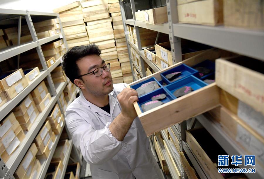 (新華全媒頭條·圖文互動)(4)探尋5億年前“生命大爆炸”之奧秘——中國科學家發(fā)現(xiàn)寒武紀“化石寶庫”清江生物群紀實