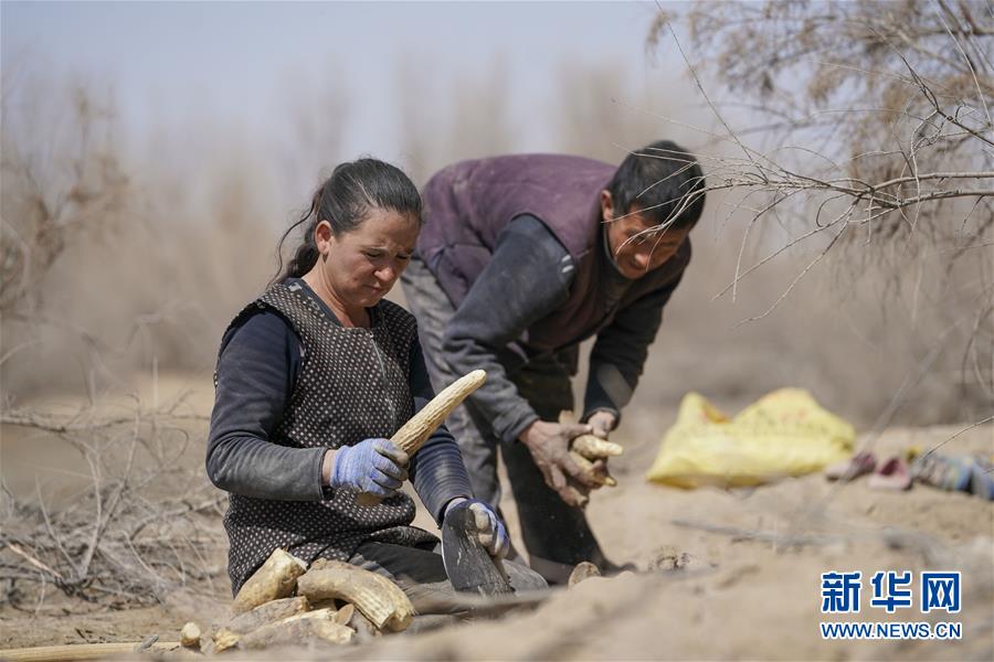 （新華全媒頭條&middot;圖文互動(dòng)）（6）一步千年，&ldquo;最后的沙漠部落&rdquo;遷入新家園