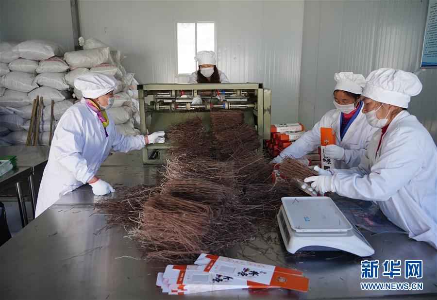 （走基層 聽民聲&middot;圖文互動(dòng)）（5）電商扶貧 讓陜西山區(qū)農(nóng)業(yè)擁抱&ldquo;藍(lán)海&rdquo;