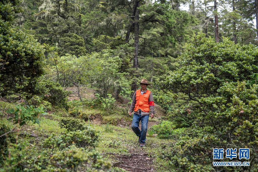(新華全媒頭條·北京世園會·圖文互動)(13)建設(shè)美麗中國 共筑綠色家園——寫在2019年中國北京世界園藝博覽會開幕之際