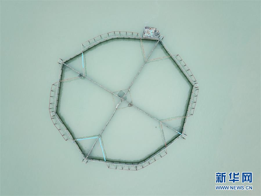 （壯麗70年&middot;奮斗新時(shí)代&middot;圖文互動）（5）&ldquo;東海明珠&rdquo;挺立一座&ldquo;精神燈塔&rdquo;&mdash;&mdash;追尋浙江臺州大陳島墾荒精神