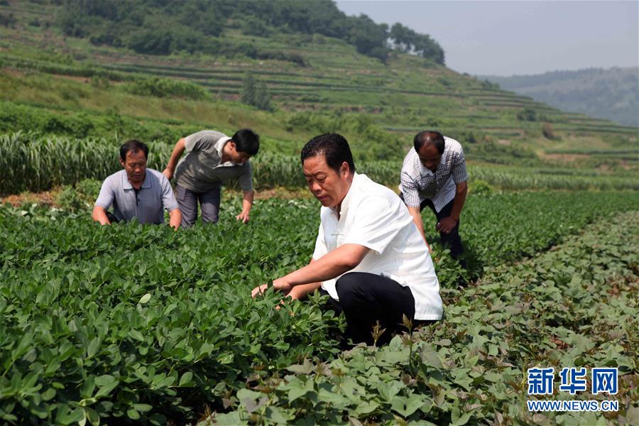 (新華全媒頭條·圖文互動(dòng))(1)讓奮斗成為人生最亮麗的底色——寫(xiě)在2019年“五一”國(guó)際勞動(dòng)節(jié)到來(lái)之際
