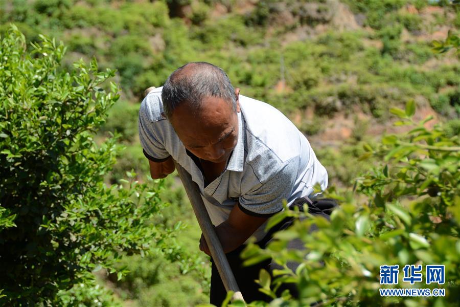 (壯麗70年&middot;奮斗新時(shí)代&middot;圖文互動(dòng)）（1）福建長(zhǎng)?。簱Q顏&ldquo;山光水濁&rdquo; 永駐綠水青山