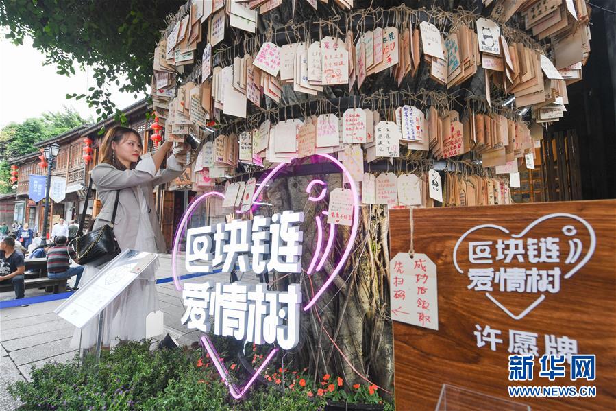 （新華全媒頭條&middot;圖文互動(dòng)）（9）從&ldquo;數(shù)字中國(guó)&rdquo;看中國(guó)發(fā)展新信號(hào)、新亮點(diǎn)、新趨勢(shì)