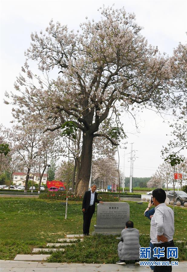 (壯麗70年·奮斗新時代·圖文互動)(6)以改革創(chuàng)新實現(xiàn)縣域新治——河南蘭考縣域治理樣本觀察