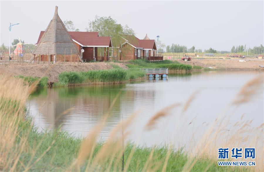 (北京世園會·圖文互動)(4)“百湖之鄉(xiāng)”磴口縣再現(xiàn)生態(tài)田園風光