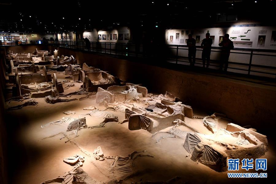 （新華全媒頭條&middot;圖文互動）（4）&ldquo;若問古今興廢事，請君只看洛陽城&rdquo;&mdash;&mdash;千年古都&ldquo;烹制&rdquo;博物館盛宴