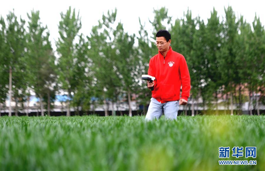 （新華全媒頭條&middot;愛國情 奮斗者&middot;圖文互動）（5）把論文寫在祖國的大地上&mdash;&mdash;中國農(nóng)業(yè)大學(xué)46年扎根河北曲周服務(wù)鄉(xiāng)村振興紀(jì)實