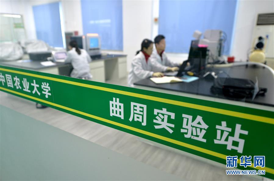 （新華全媒頭條&middot;愛國情 奮斗者&middot;圖文互動）（10）把論文寫在祖國的大地上&mdash;&mdash;中國農(nóng)業(yè)大學(xué)46年扎根河北曲周服務(wù)鄉(xiāng)村振興紀(jì)實