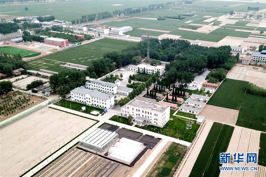 （新華全媒頭條&middot;愛國情 奮斗者&middot;圖文互動）（12）把論文寫在祖國的大地上&mdash;&mdash;中國農(nóng)業(yè)大學(xué)46年扎根河北曲周服務(wù)鄉(xiāng)村振興紀(jì)實