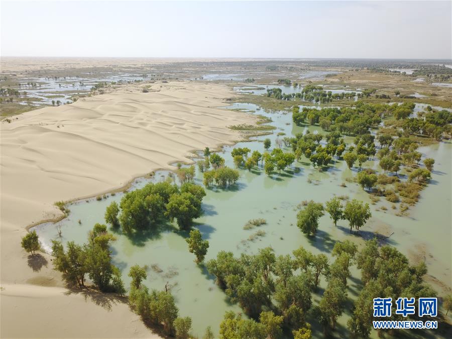 (新華全媒頭條·圖文互動(dòng))(3)大河歸來