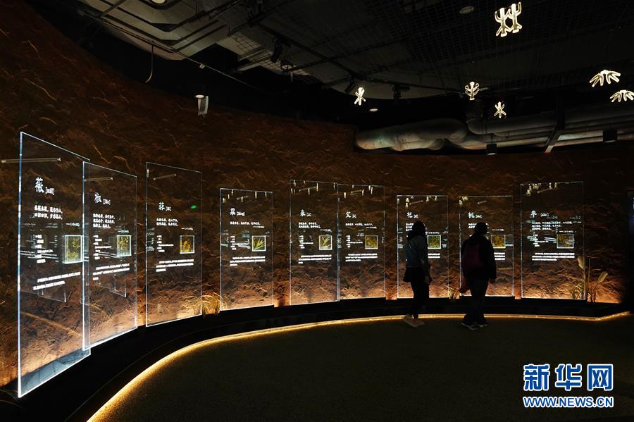 (在習近平新時代中國特色社會主義思想指引下——新時代新作為新篇章·圖文互動)(4)從世園會“看”中國綠色發(fā)展之路——寫在北京世園會“中國國家館日”到來之際