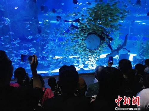 蘭州民眾觀看投食表演。艾慶龍 攝 點擊進入下一頁