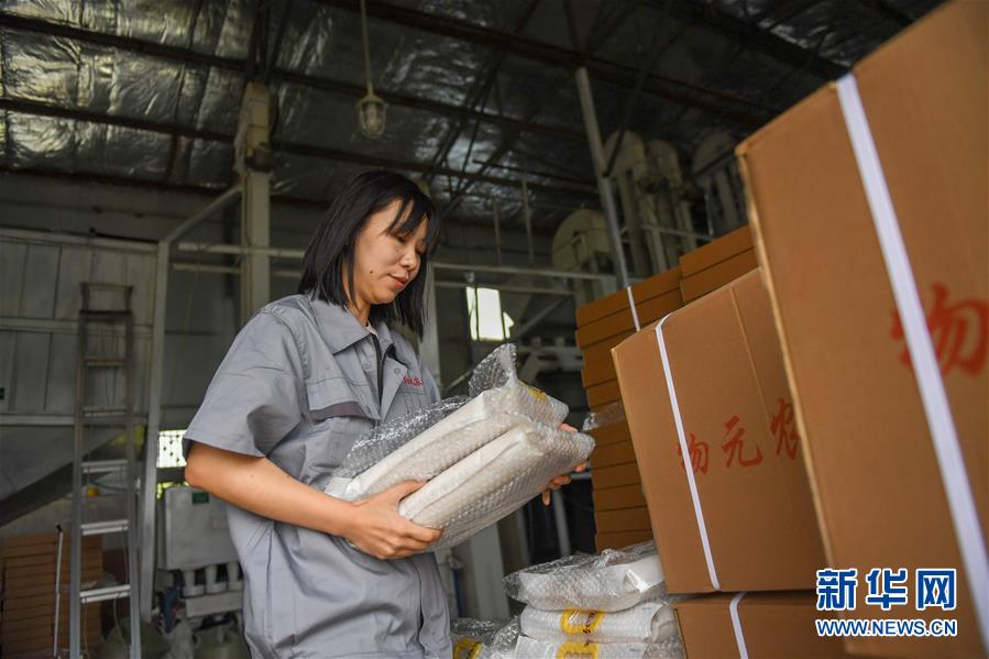 (在習(xí)近平新時(shí)代中國(guó)特色社會(huì)主義思想指引下——新時(shí)代新作為新篇章·圖文互動(dòng))(6)大學(xué)生種田讓農(nóng)民“老把式”開(kāi)了眼——吉林長(zhǎng)白山下的稻田新事