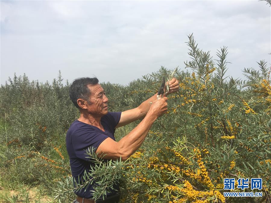 （權(quán)威訪談&middot;聚焦中國(guó)經(jīng)濟(jì)亮點(diǎn)&middot;圖文互動(dòng)）（4）防治土地荒漠化 推動(dòng)綠色發(fā)展&mdash;&mdash;專(zhuān)訪國(guó)家林業(yè)和草原局副局長(zhǎng)劉東生