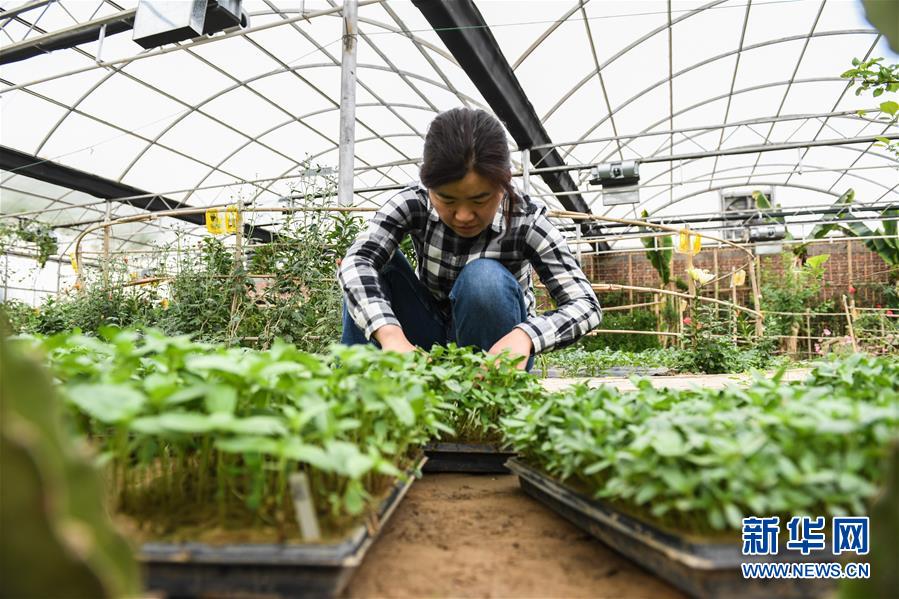 （權(quán)威訪談&middot;聚焦中國(guó)經(jīng)濟(jì)亮點(diǎn)&middot;圖文互動(dòng)）（5）防治土地荒漠化 推動(dòng)綠色發(fā)展&mdash;&mdash;專(zhuān)訪國(guó)家林業(yè)和草原局副局長(zhǎng)劉東生