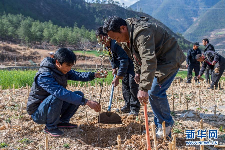 (新華全媒頭條·圖文互動)(4)藏區(qū)“感恩連”