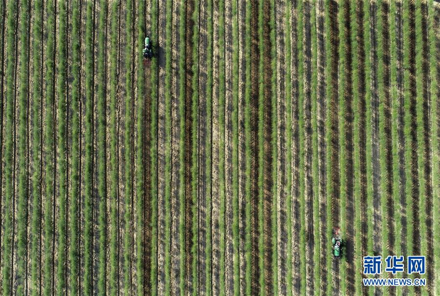 （新華全媒頭條&middot;壯麗70年&middot;奮斗新時(shí)代&middot;圖文互動(dòng)）（8）中國(guó)減貧的西海固報(bào)告