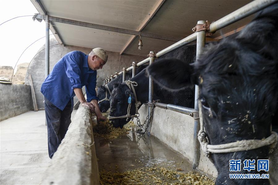 （新華全媒頭條&middot;壯麗70年&middot;奮斗新時(shí)代&middot;圖文互動(dòng)）（10）中國(guó)減貧的西海固報(bào)告