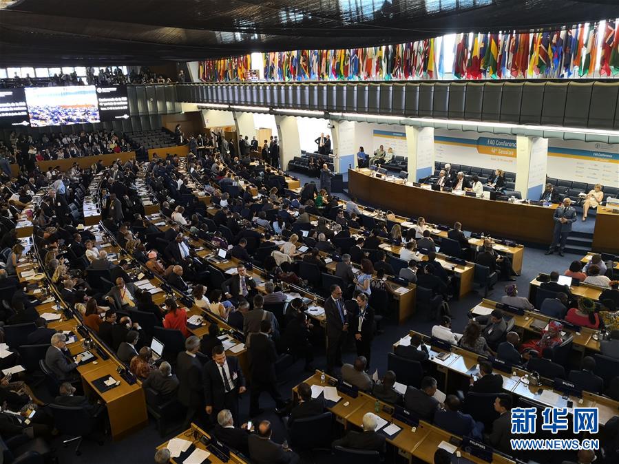 (國際)中國農業(yè)農村部副部長屈冬玉當選聯(lián)合國糧農組織總干事