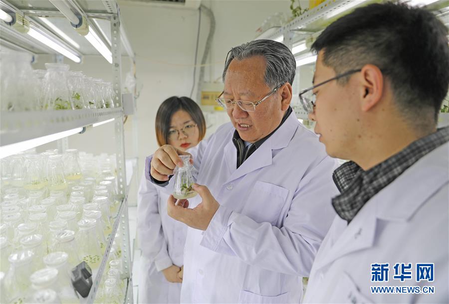 (新華全媒頭條·圖文互動(dòng))(1)和蔬菜“說話”的人——中國(guó)工程院院士李天來(lái)的“棚菜人生”