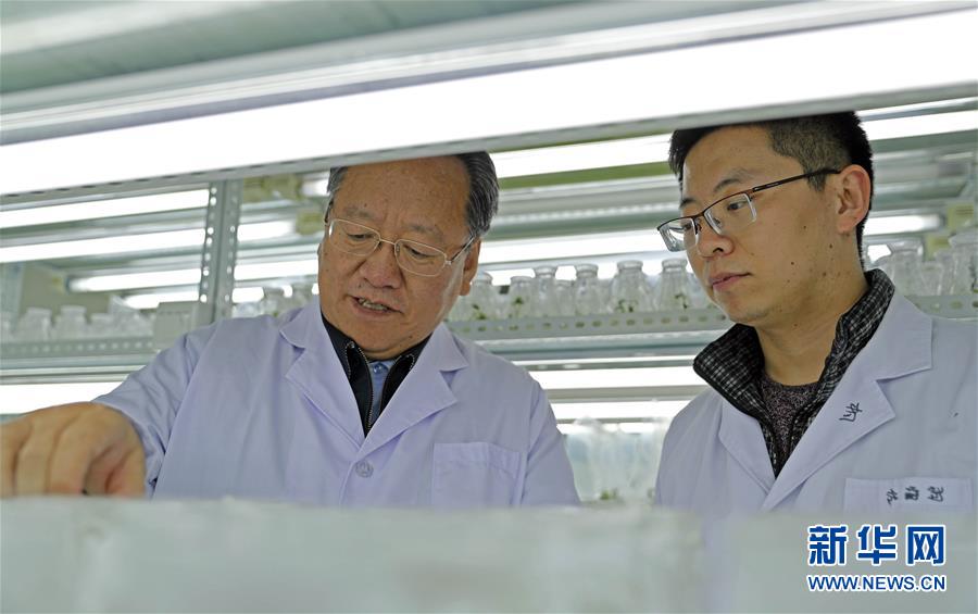 (新華全媒頭條·圖文互動(dòng))(2)和蔬菜“說話”的人——中國(guó)工程院院士李天來(lái)的“棚菜人生”